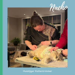 Huistijger Kattentrimmer - Nacho Eethen